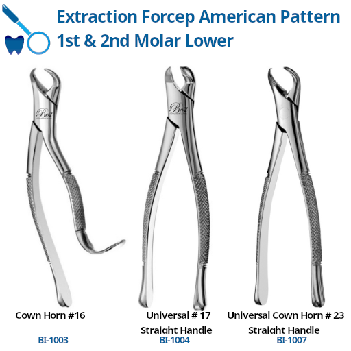 Best Forcep 1st & 2nd Molar Lower