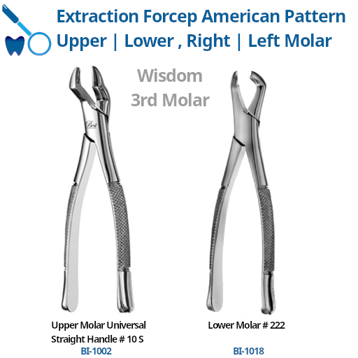 Best Forcep 3rd Molar Wisdom Upper | Lower