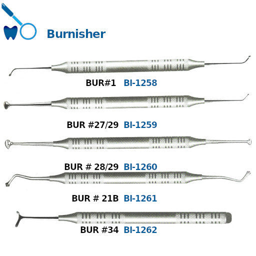 Best Burnisher