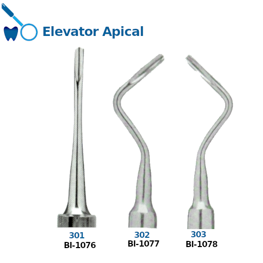 Best Elevator Apical