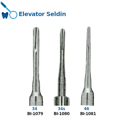 Best Elevator Seldin