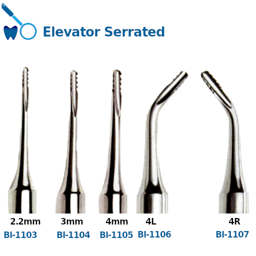 Best Elevator Serrated