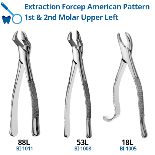 Best Forcep 1st & 2nd Molar Upper Left