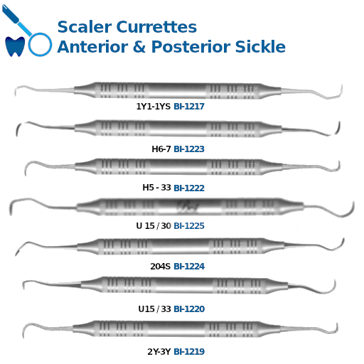 Best Scaler Currettes Anterior & Posterior Sickle