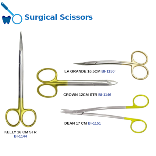 Best Surgical Scissors